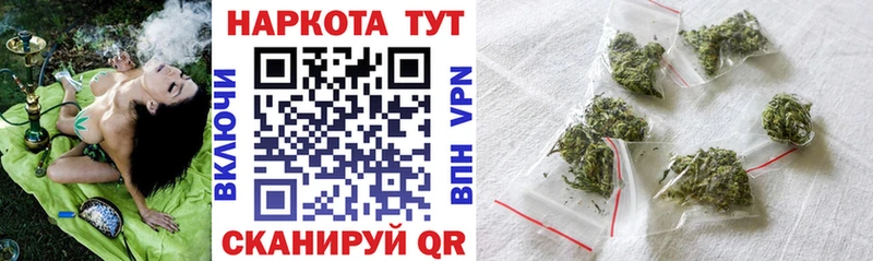  COCAIN Балтийск