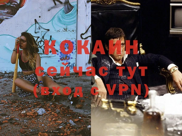 твердый Аркадак