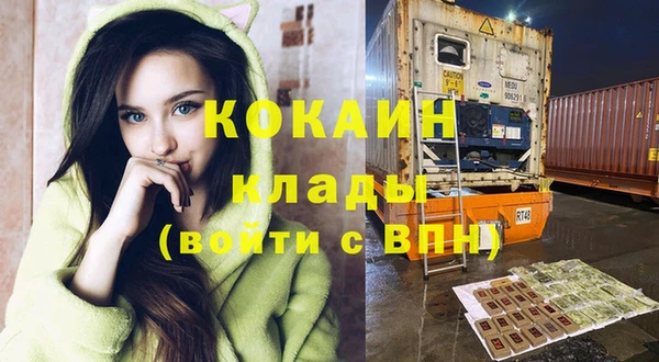 твердый Аркадак