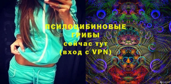 твердый Аркадак